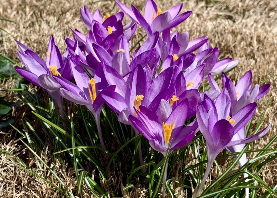 IMG_0679.jpg?type=w966