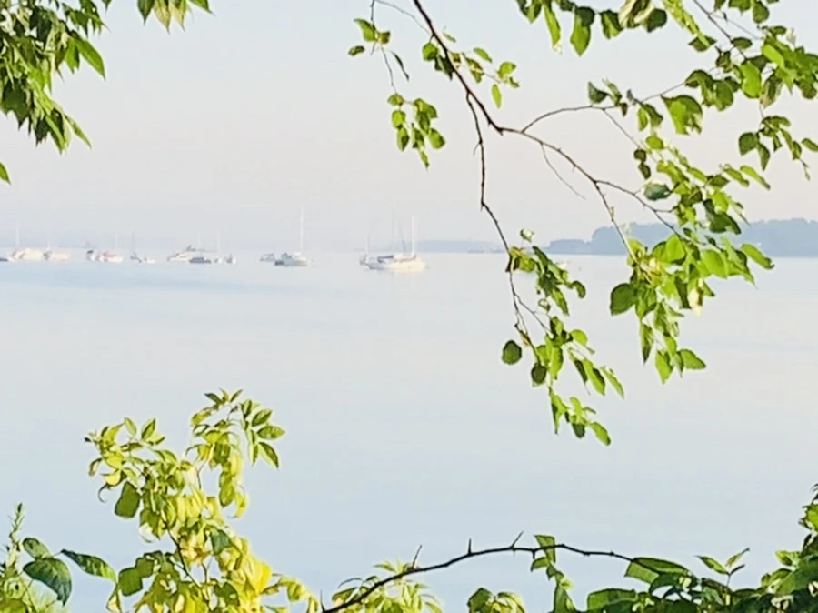 IMG_7424.jpg?type=w966