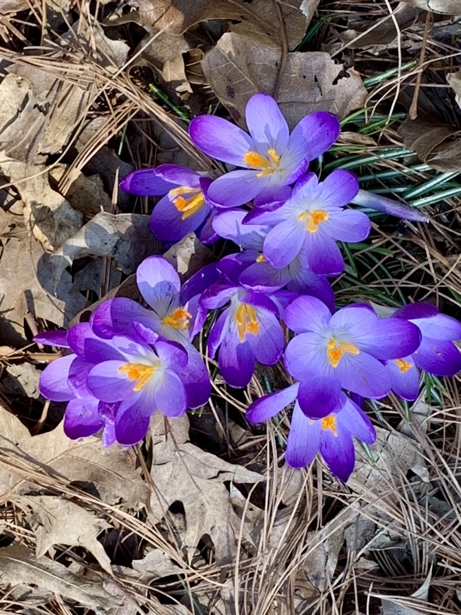 IMG_9752.jpg?type=w966