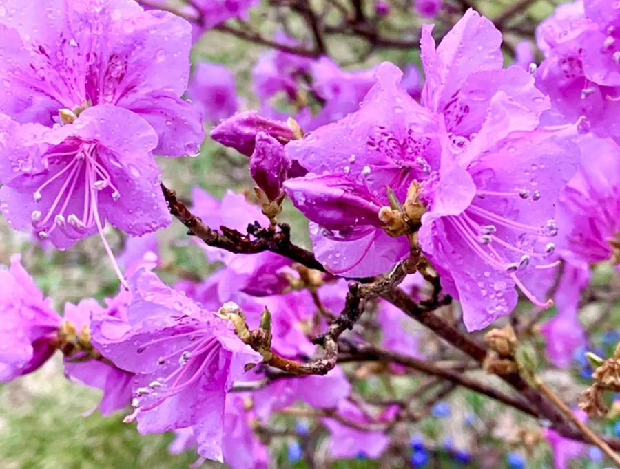 IMG_4919.jpg?type=w966