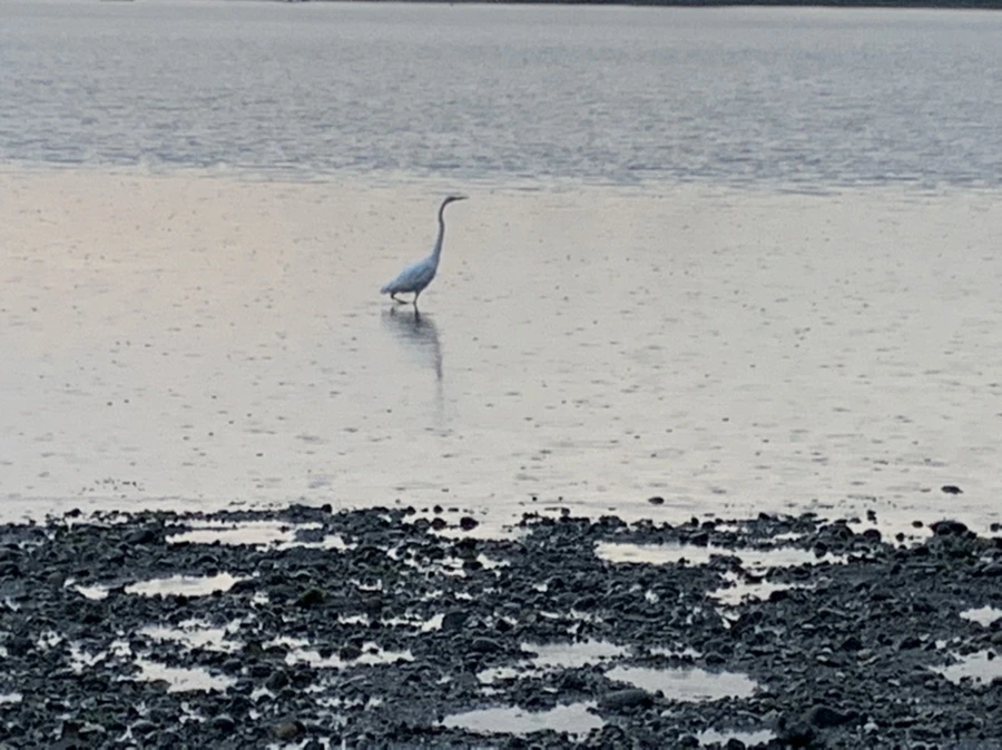 IMG_8126.jpg?type=w966