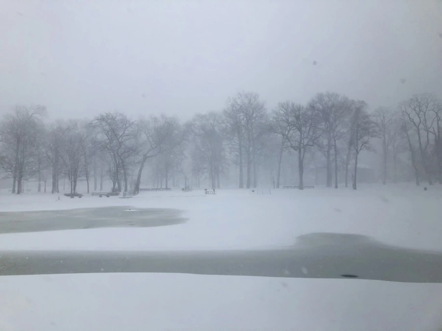 IMG_8839.jpg?type=w966