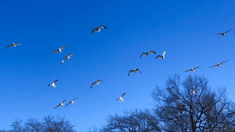 _xLZq9hk3jbWv2sRFQnlx5LNnOg