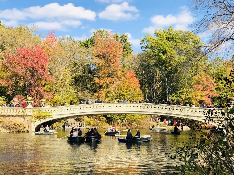 IMG_1777.jpg?type=w966