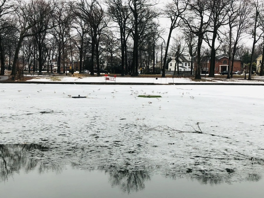 IMG_5542.jpg?type=w966