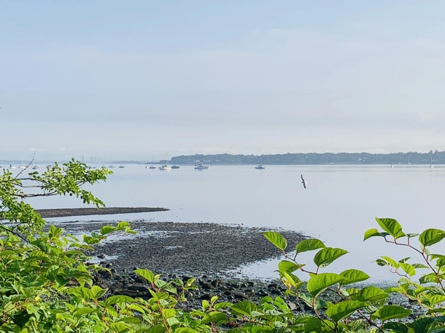 IMG_4391.jpg?type=w966