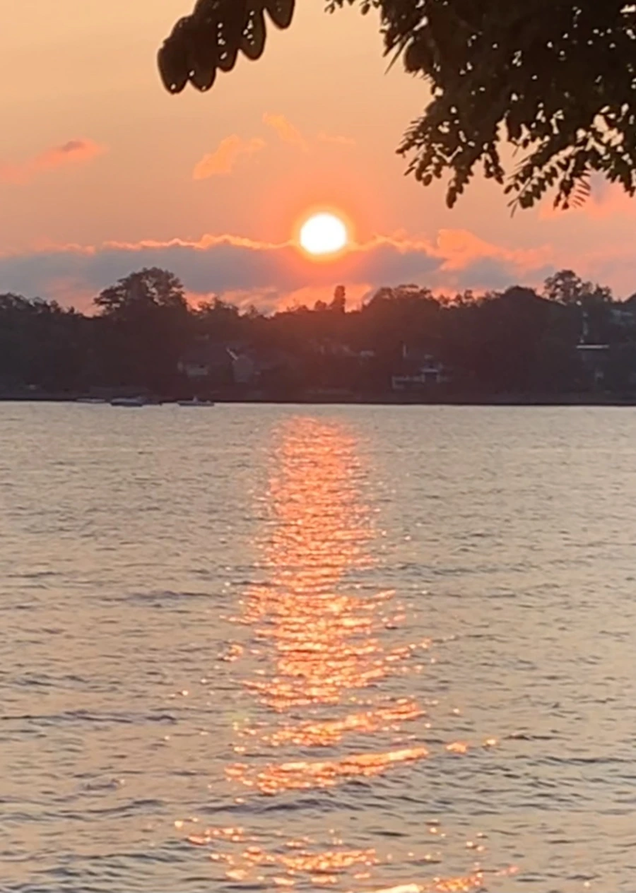 IMG_5478.jpg?type=w966