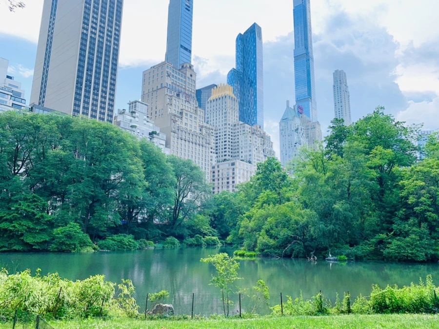 IMG_1633.jpg?type=w966