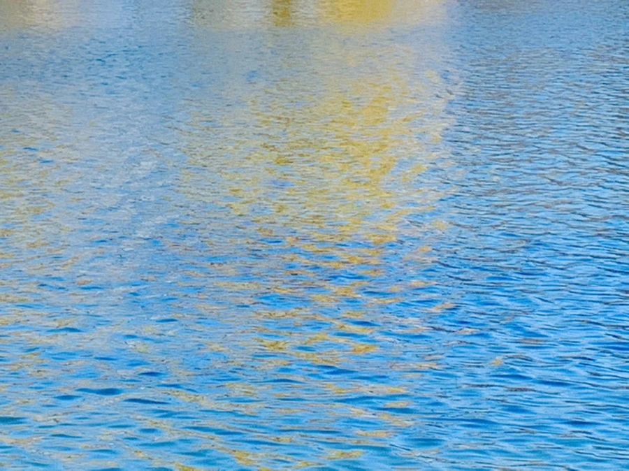 IMG_9885.jpg?type=w966