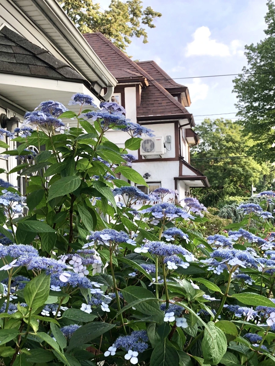 IMG_0217.jpg?type=w966