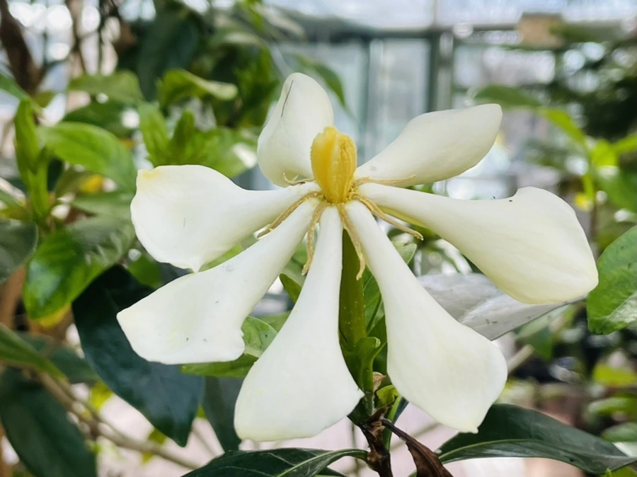 IMG_5208.jpg?type=w966