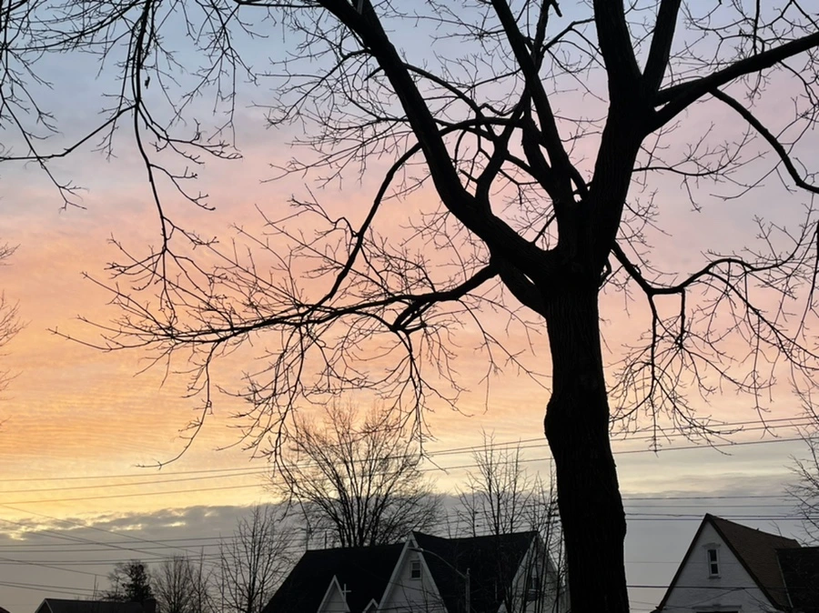 IMG_0600.jpg?type=w966