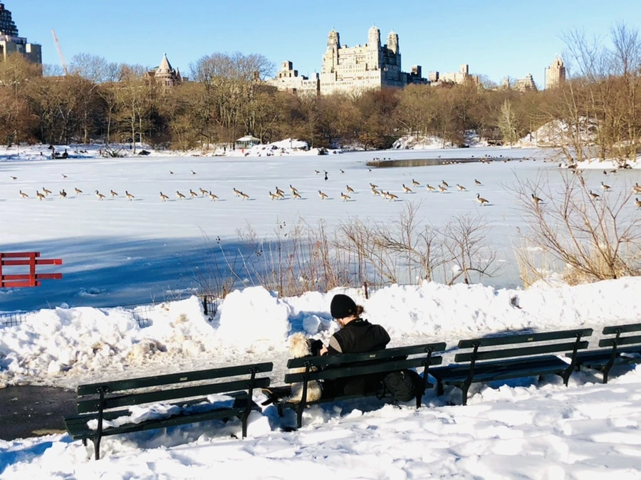 IMG_9875.jpg?type=w966