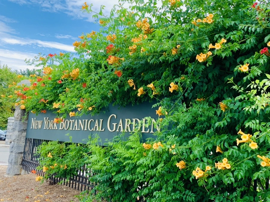 IMG_9151.jpg?type=w966