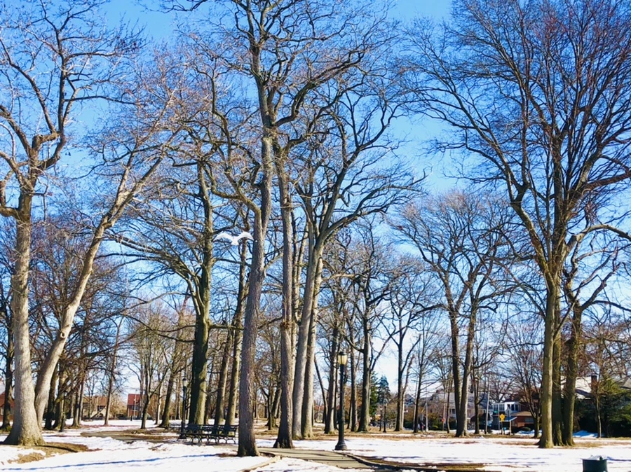 IMG_4919.jpg?type=w966