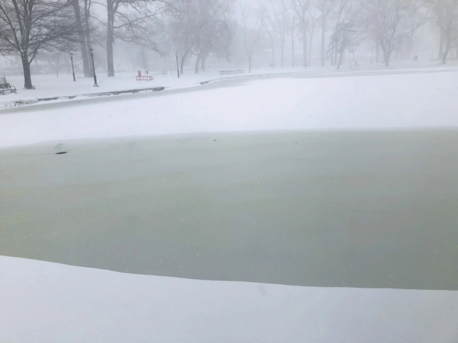 IMG_8825.jpg?type=w966