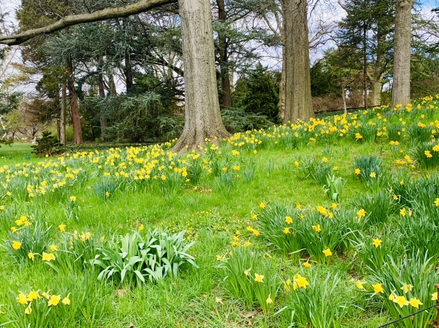 IMG_6553.jpg?type=w966