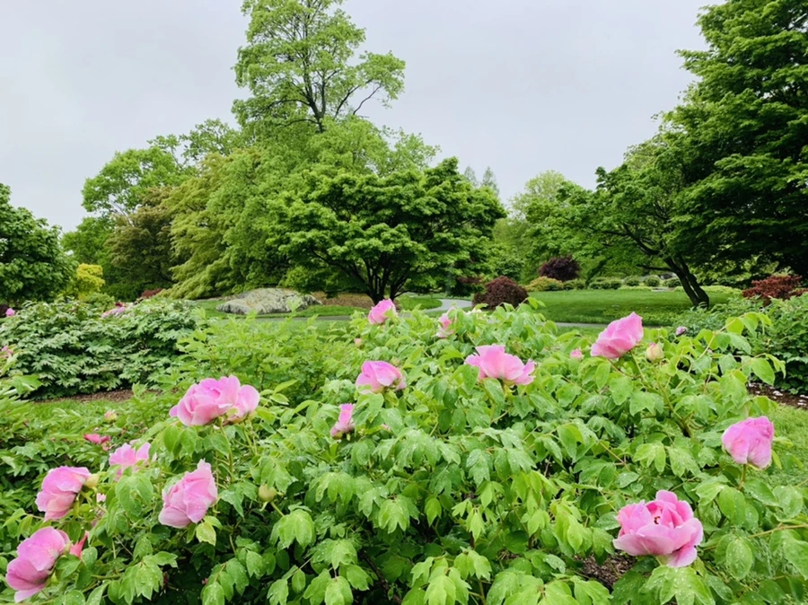 IMG_9962.jpg?type=w966