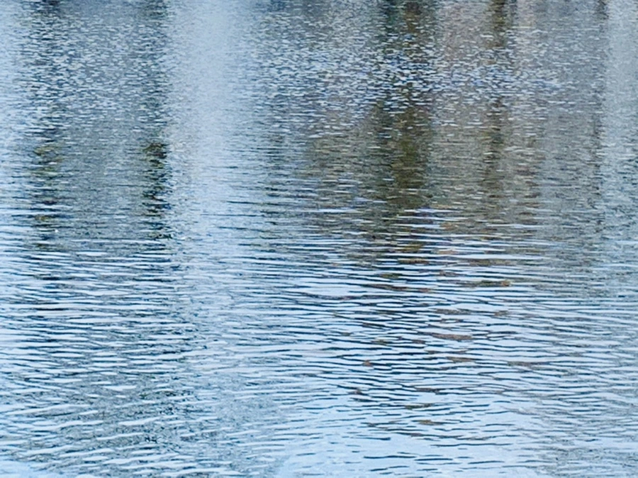 IMG_0321.jpg?type=w966