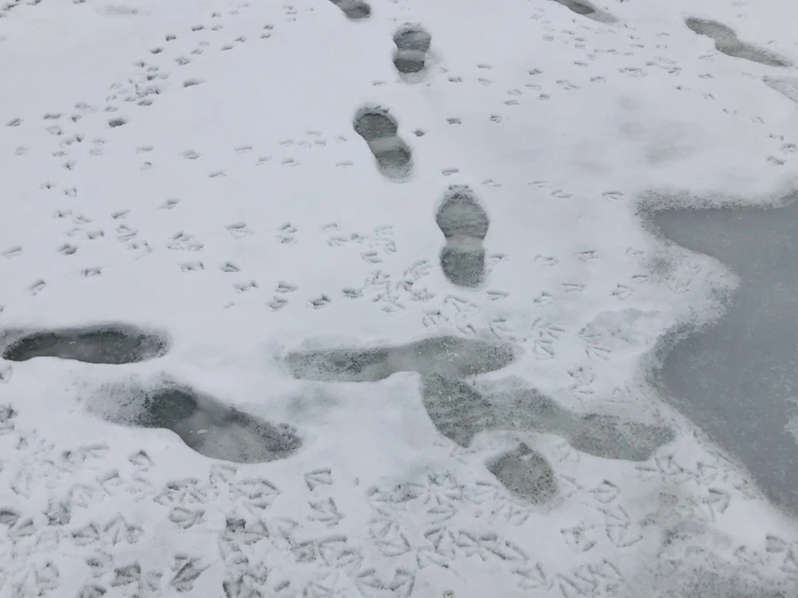 IMG_2563.jpg?type=w966