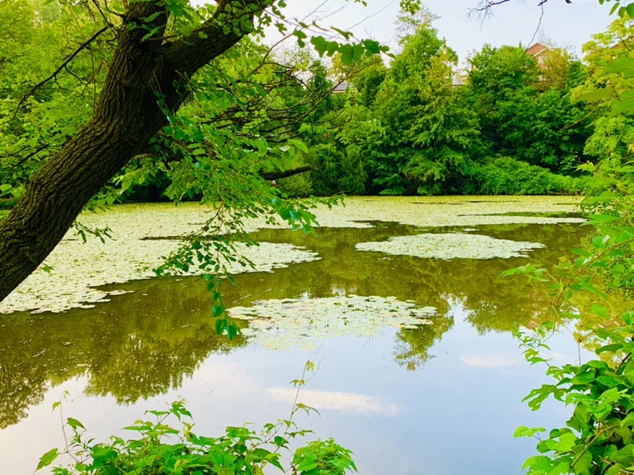 IMG_7862.jpg?type=w966