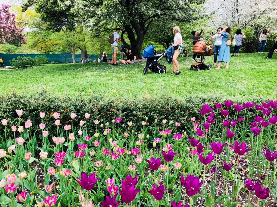 IMG_5493.jpg?type=w966