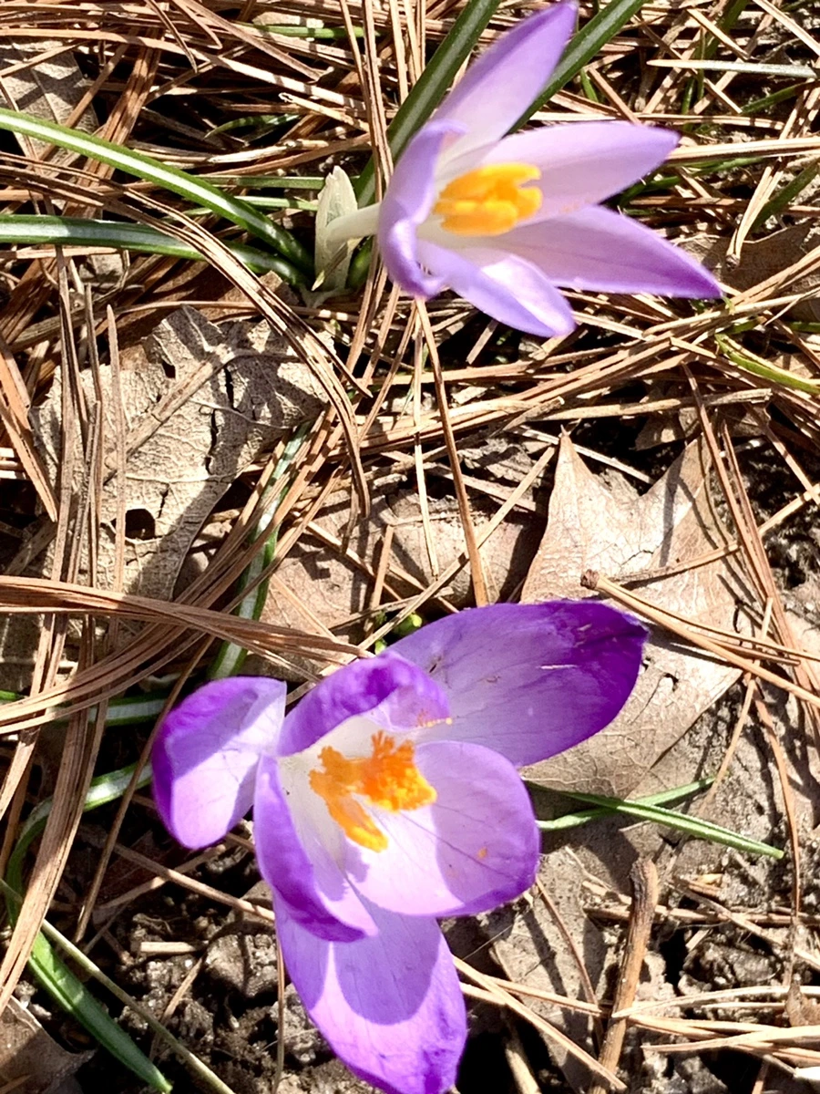 IMG_9654.jpg?type=w966