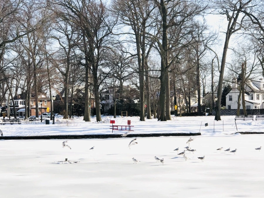 IMG_0310.jpg?type=w966