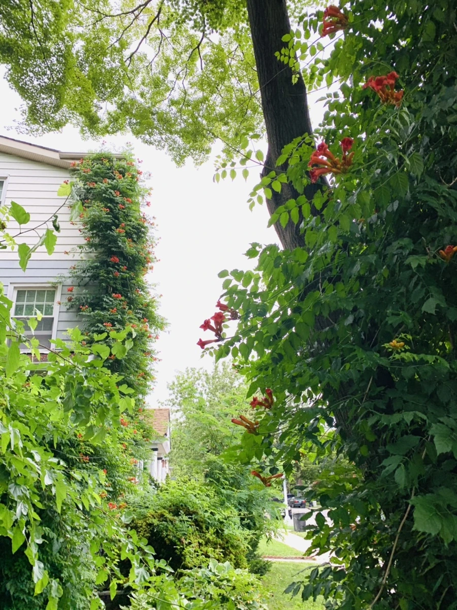 IMG_6936.jpg?type=w966