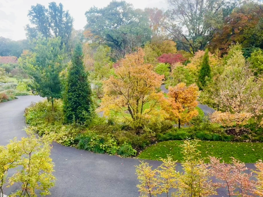 IMG_0133.jpg?type=w966