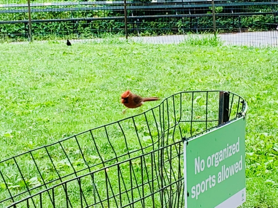 IMG_9909.jpg?type=w966