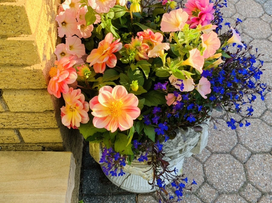 IMG_1909.jpg?type=w966