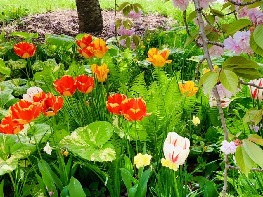 IMG_6870.jpg?type=w966