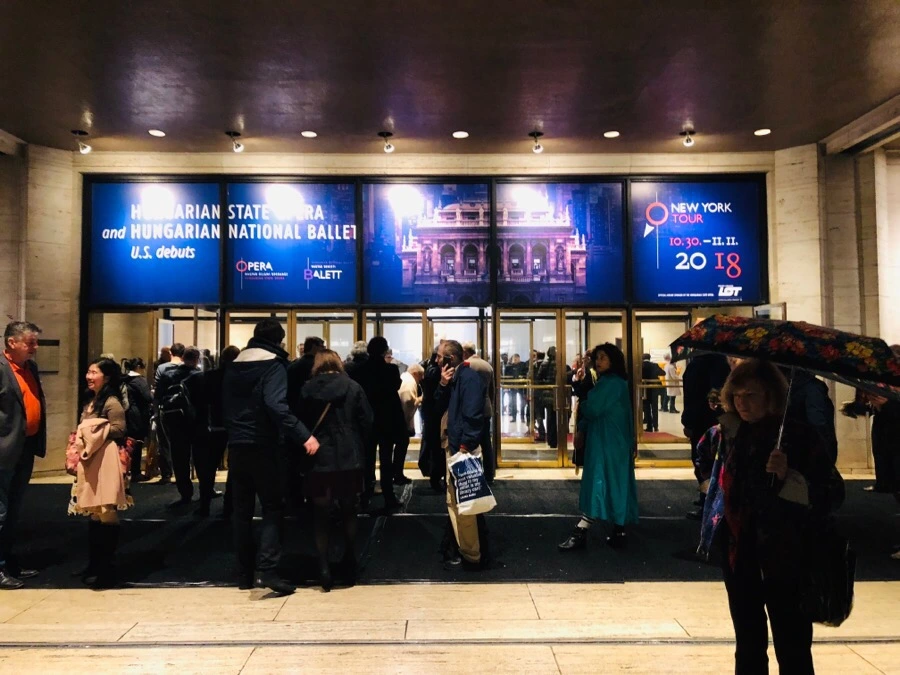 IMG_7284.jpg?type=w966