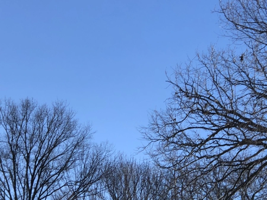 IMG_7992.jpg?type=w966