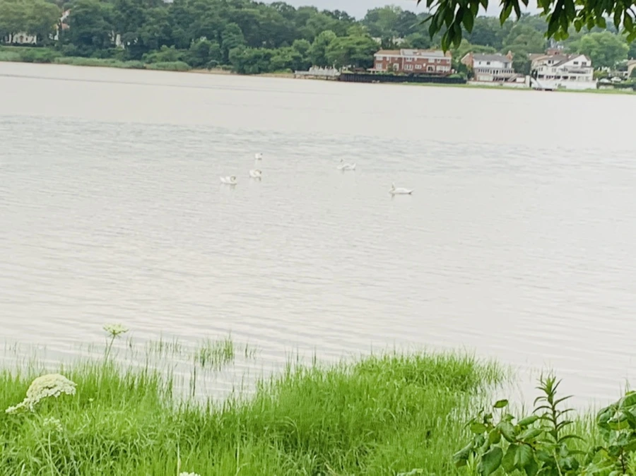 IMG_7092.jpg?type=w966