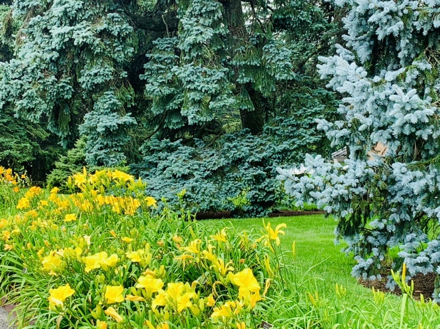 IMG_2591.jpg?type=w966