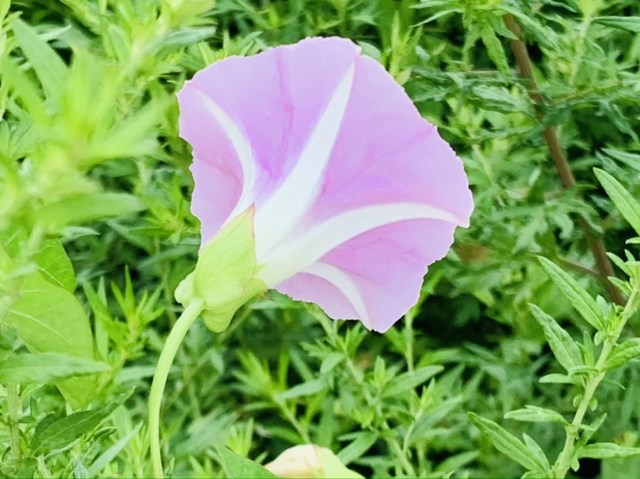 IMG_5987.jpg?type=w966