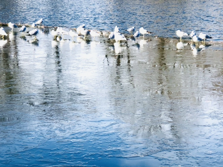 IMG_1193.jpg?type=w966