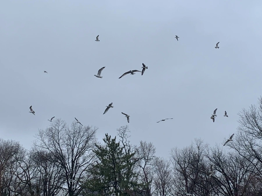 IMG_2125.jpg?type=w966