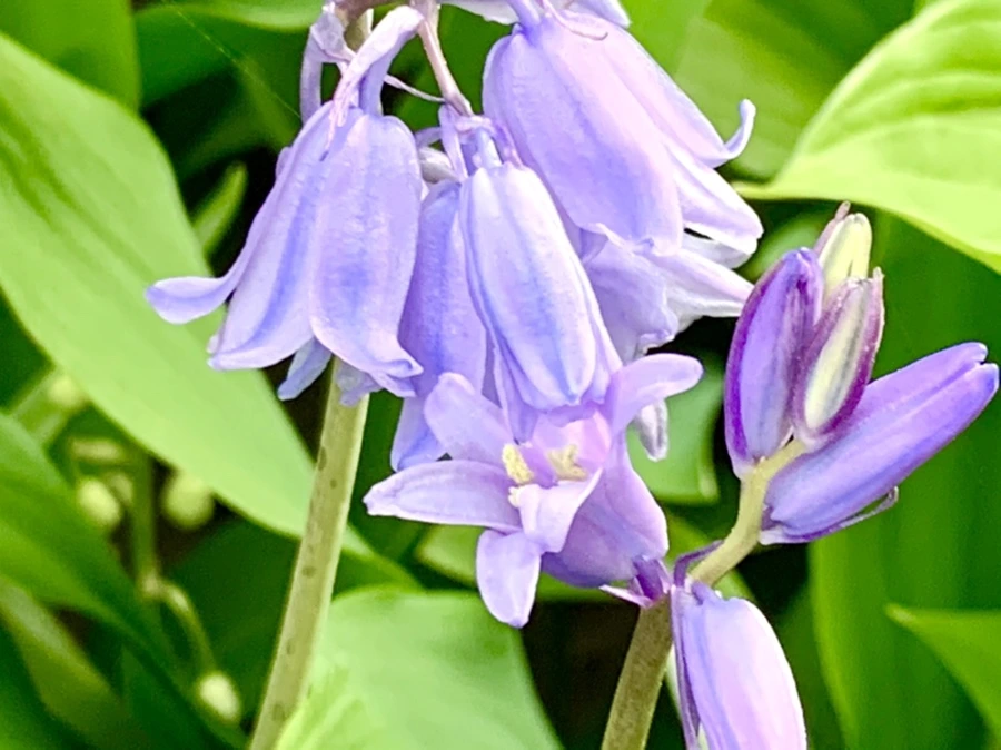 IMG_9079.jpg?type=w966