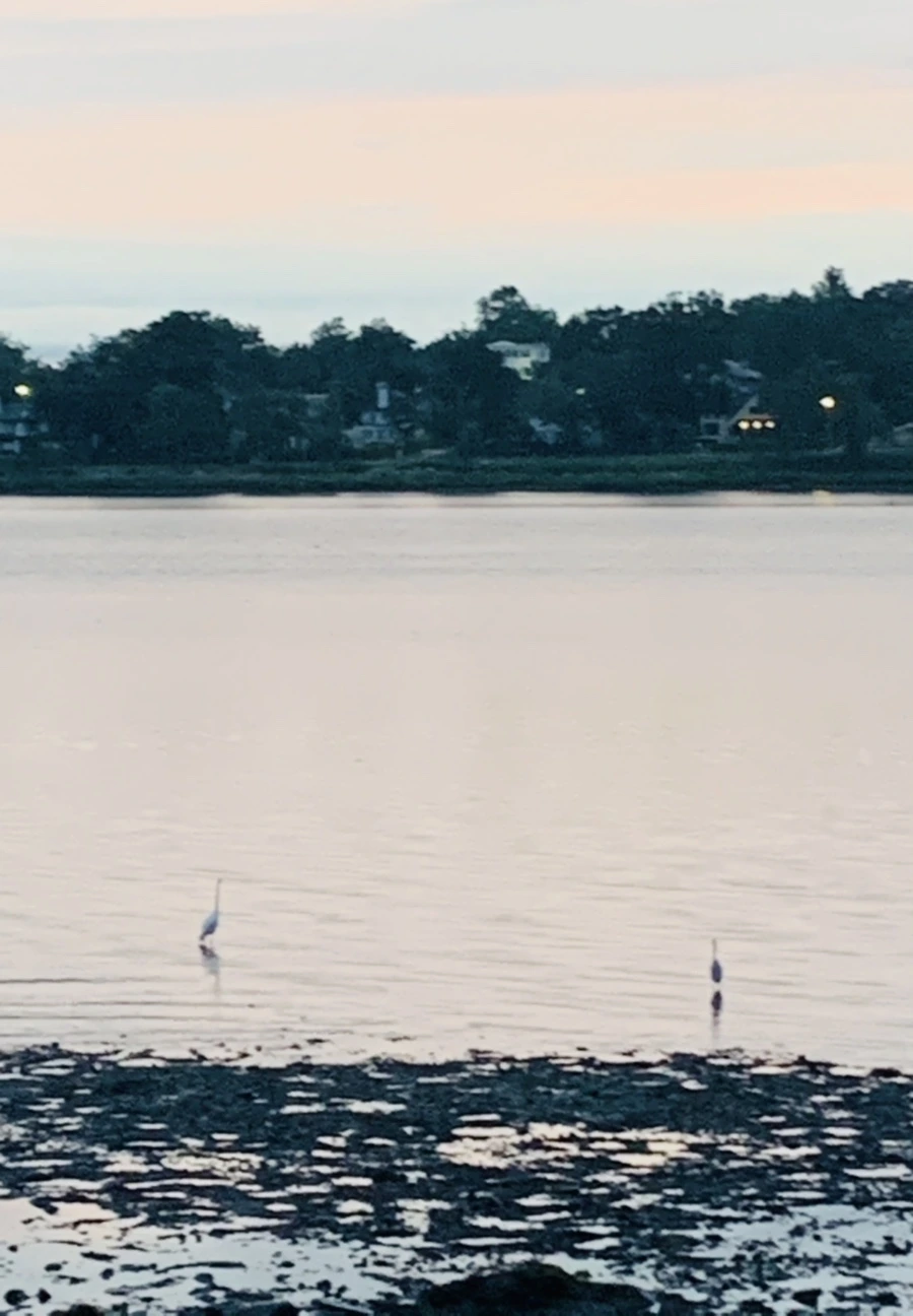 IMG_9548.jpg?type=w966