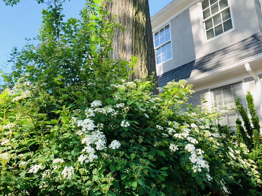 IMG_0412.jpg?type=w966