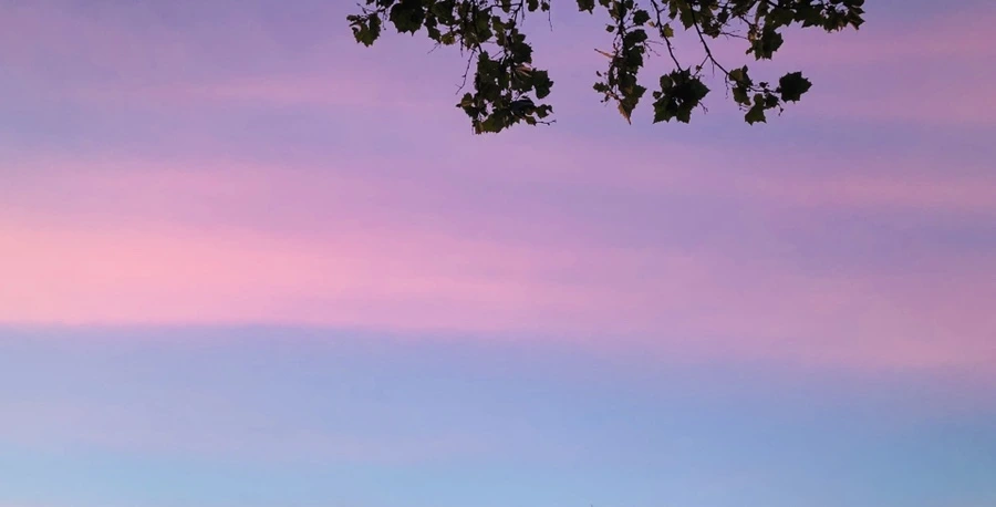 IMG_4573.jpg?type=w966