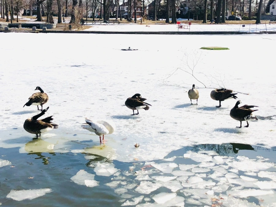 IMG_5432.jpg?type=w966