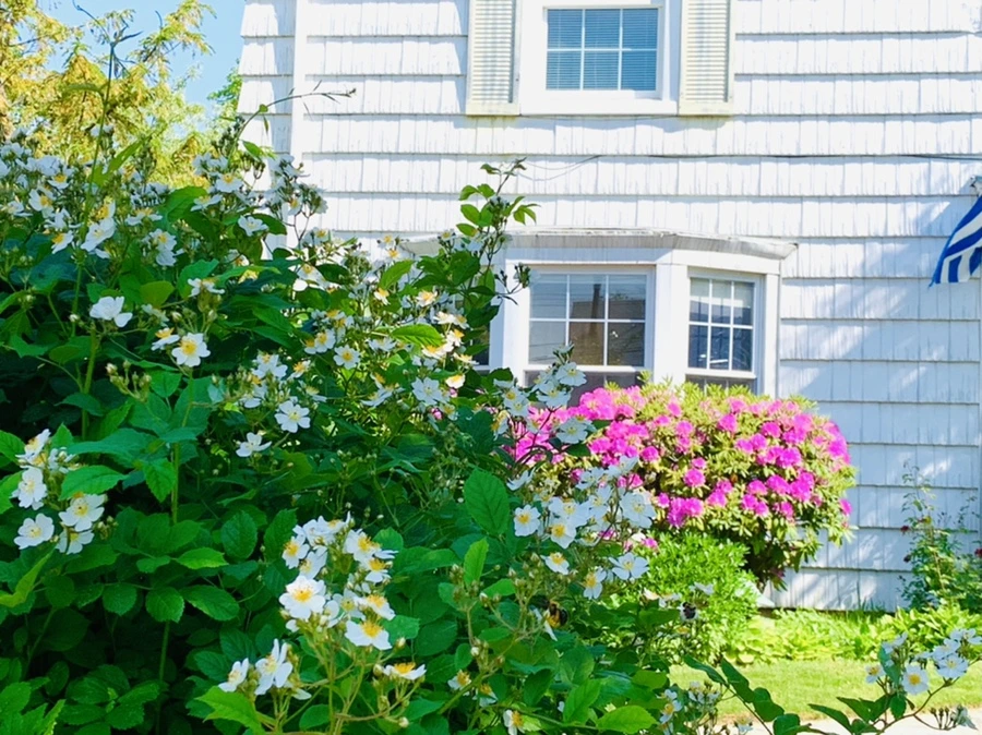 IMG_4664.jpg?type=w966