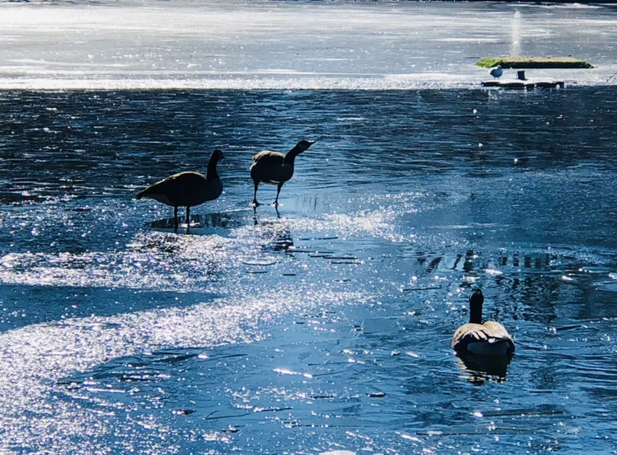 IMG_7961.jpg?type=w966