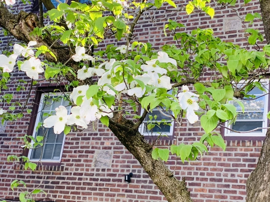 IMG_8449.jpg?type=w966