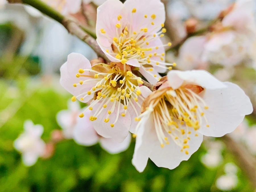 IMG_1689.jpg?type=w966