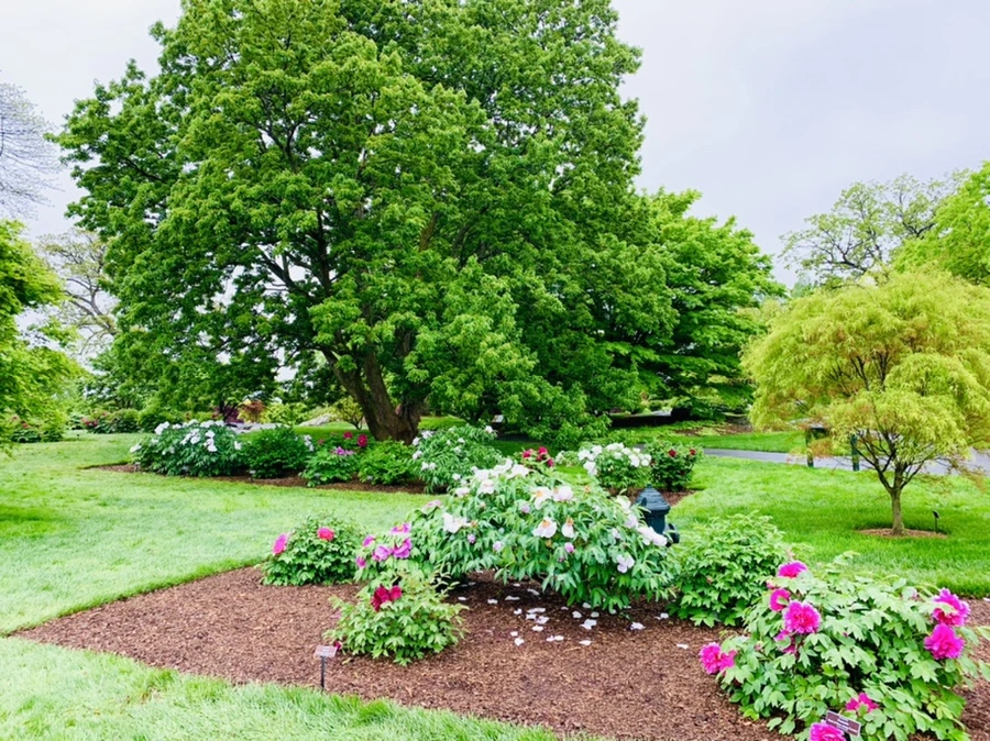 IMG_9949.jpg?type=w966